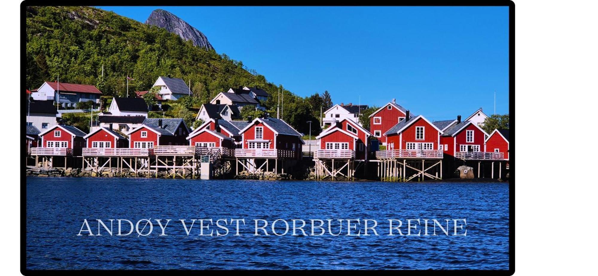 Vila Andoy Vest Rorbuer Reine Exteriér fotografie